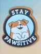 Stay Pawsitive