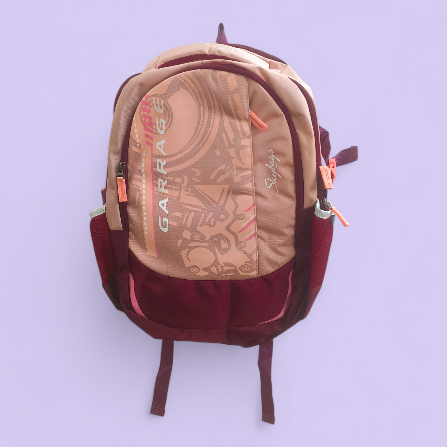 Garrrage Skybags Style School Backpack
