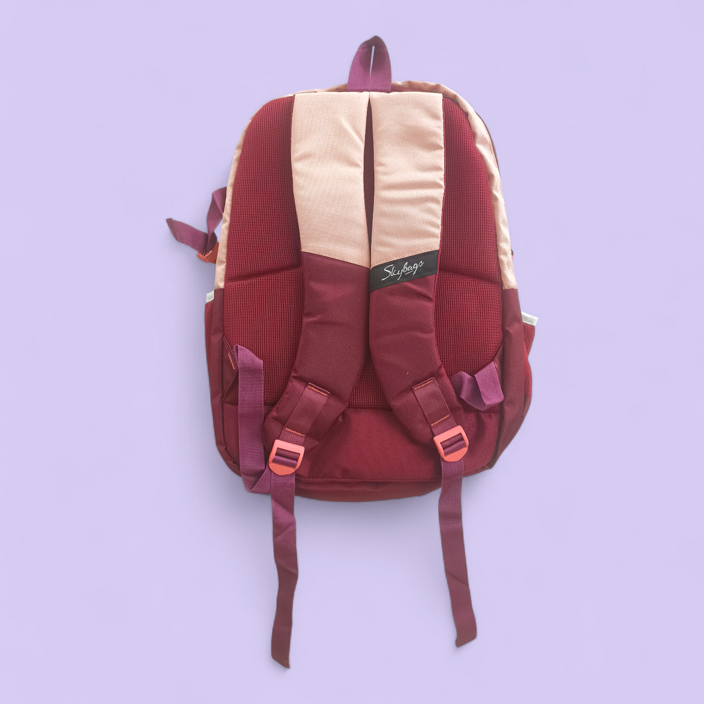Garrrage Skybags Style School Backpack