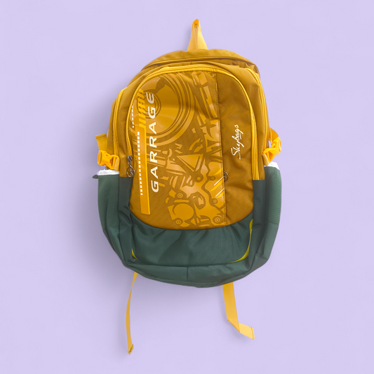 Garrrage Skybags Style School Backpack