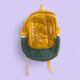 Garrrage Skybags Style School Backpack