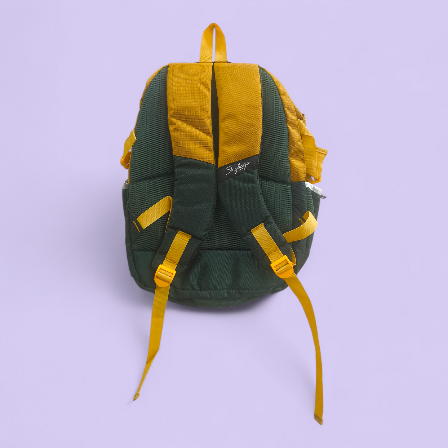 Garrrage Skybags Style School Backpack