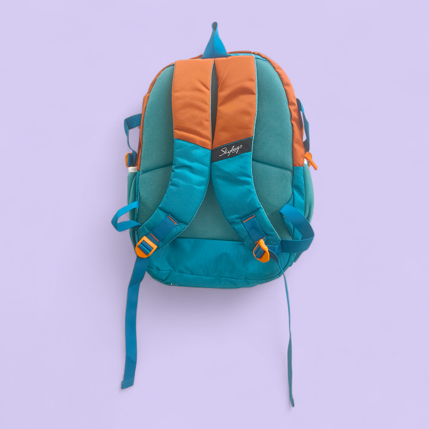 Garrrage Skybags Style School Backpack