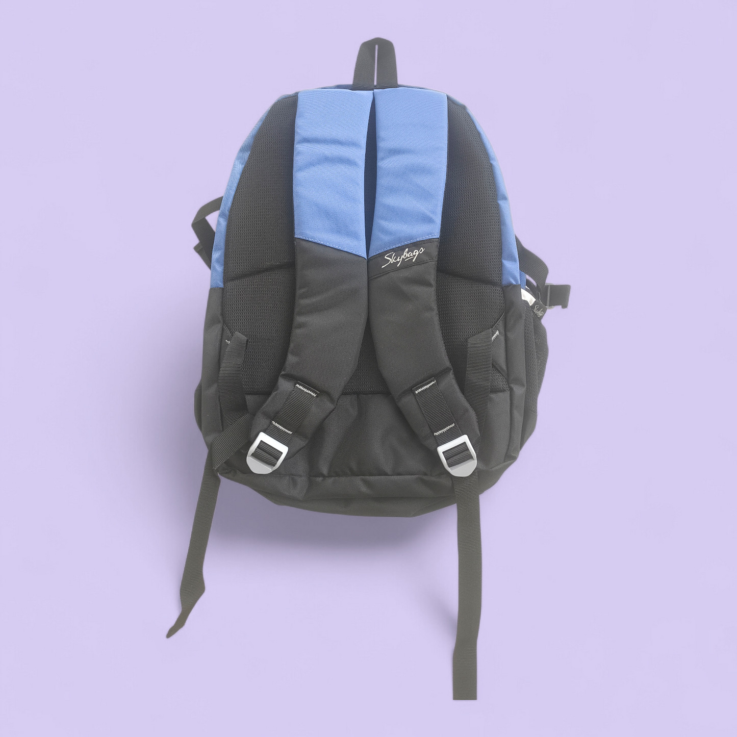 Garrrage Skybags Style School Backpack